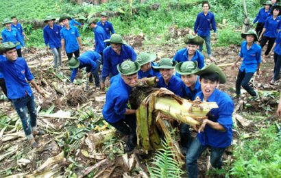 Kiểm tra thực hiện pháp luật, chính sách thanh niên tại Bắc Ninh