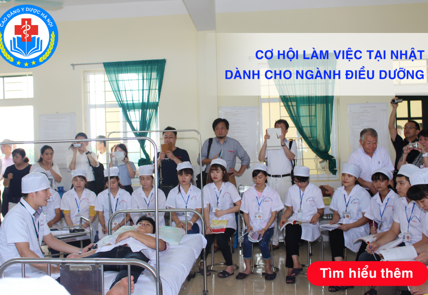 Cơ hội làm việc tại Nhật Bản dành cho ngành Cao đẳng Điều dưỡng