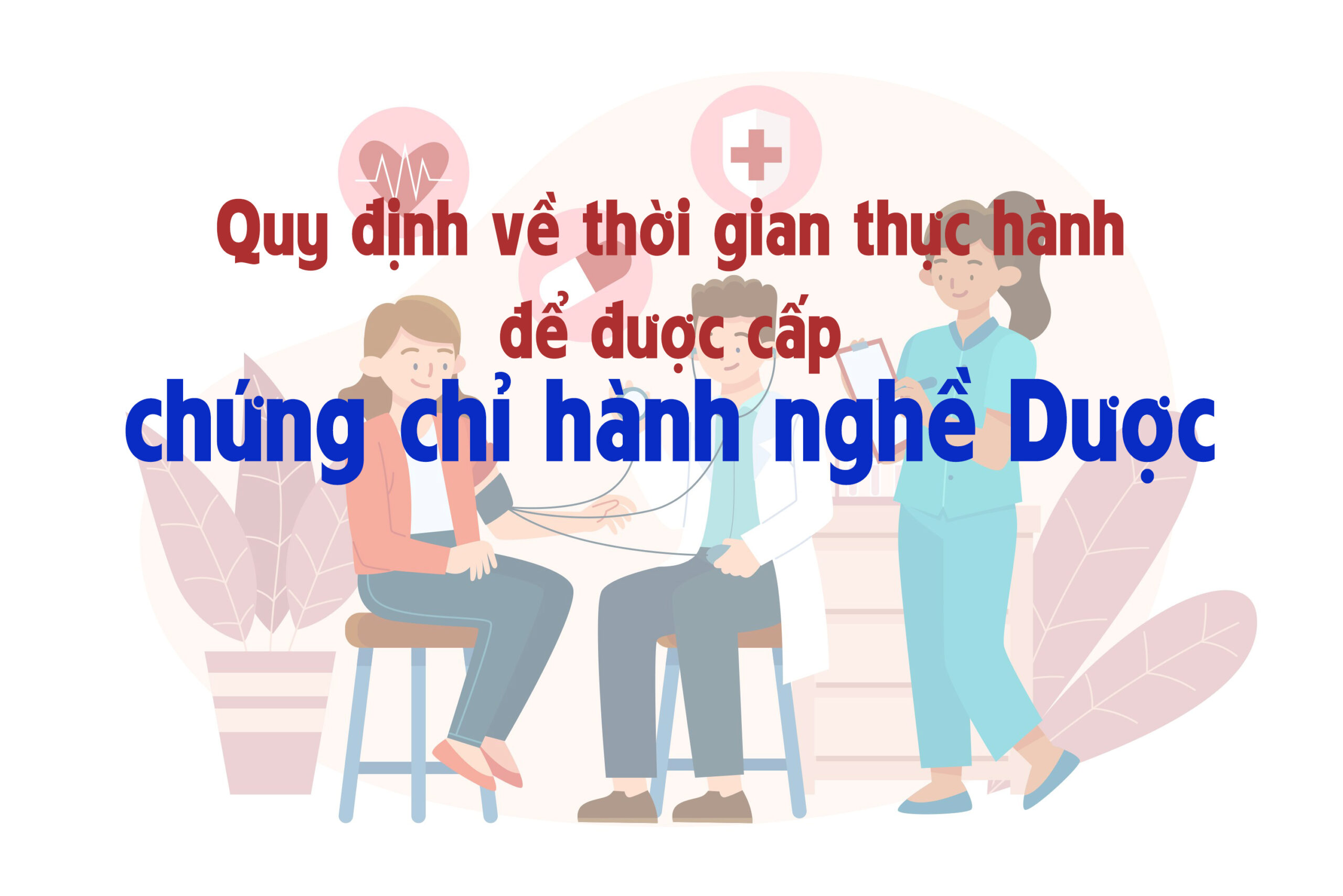 Quy định về thời gian thực hành để được cấp chứng chỉ  hành nghề Dược