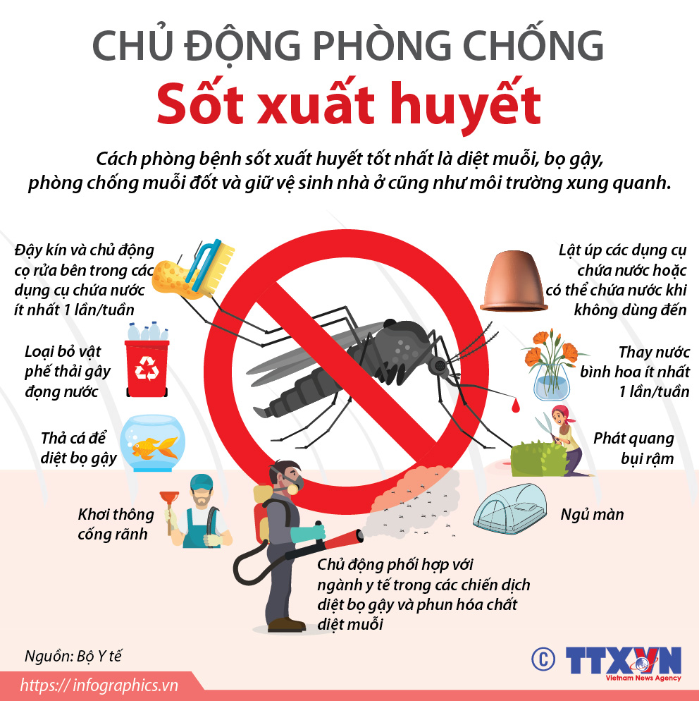 Dịch sốt xuất huyết và những lưu ý (Phần 3)