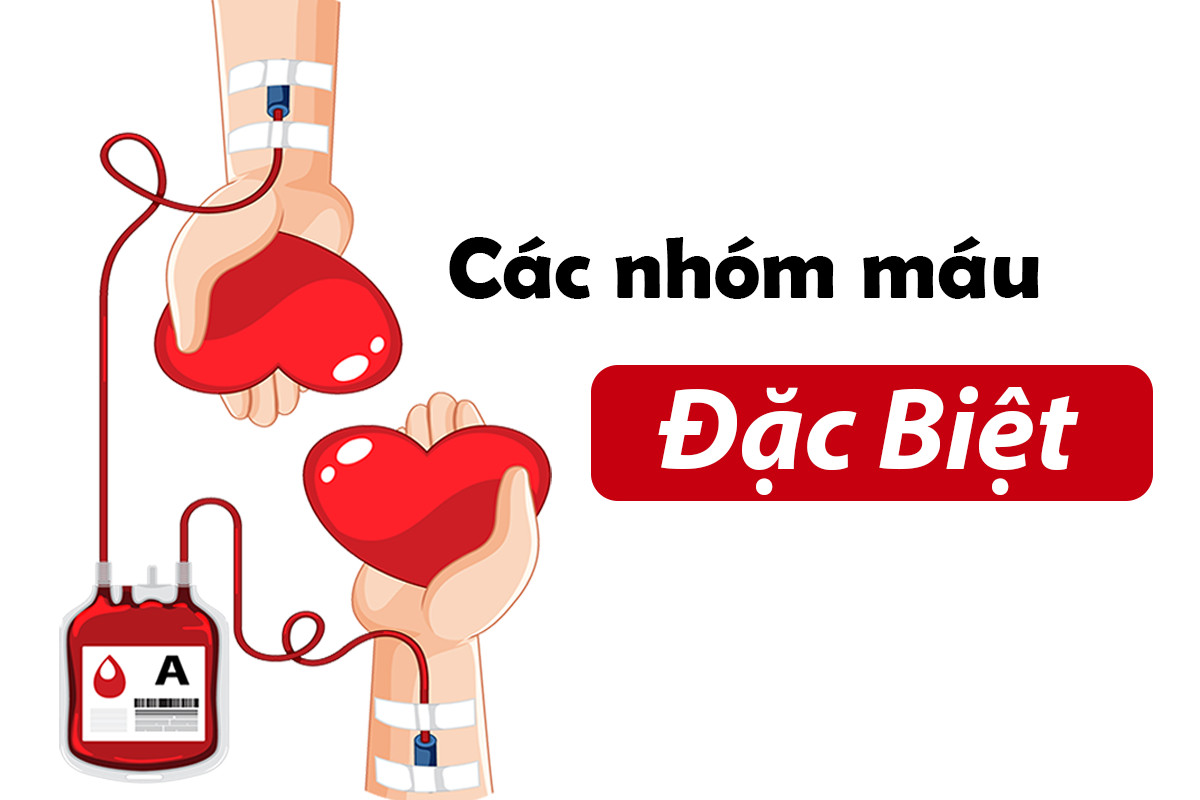 Bạn đã biết những gì về các nhóm máu đặc biệt?