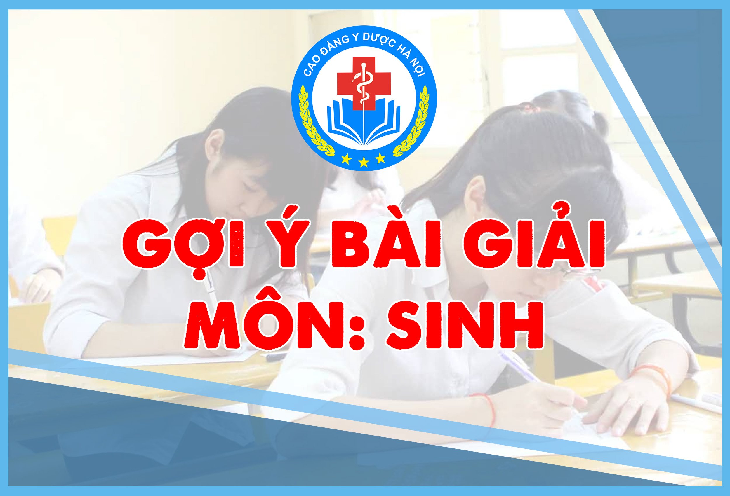 Đáp án chính thức môn Sinh học kỳ thi tốt nghiệp THPT 2024